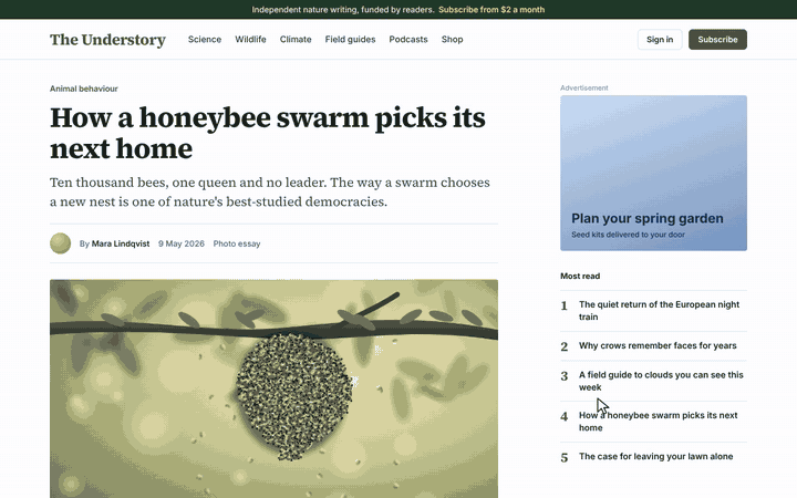 A magazine page turns into a blueprint: a light scans down, white outlines and dimension lines are drawn, the cursor measures a paragraph and the gap to an advert, then the original page scans back in.